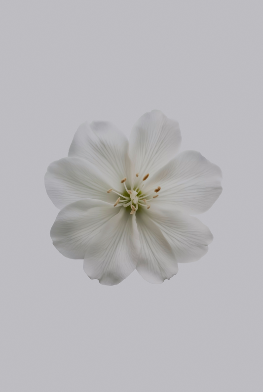 Fresh Jasmine 180 ml Reed Diffuser