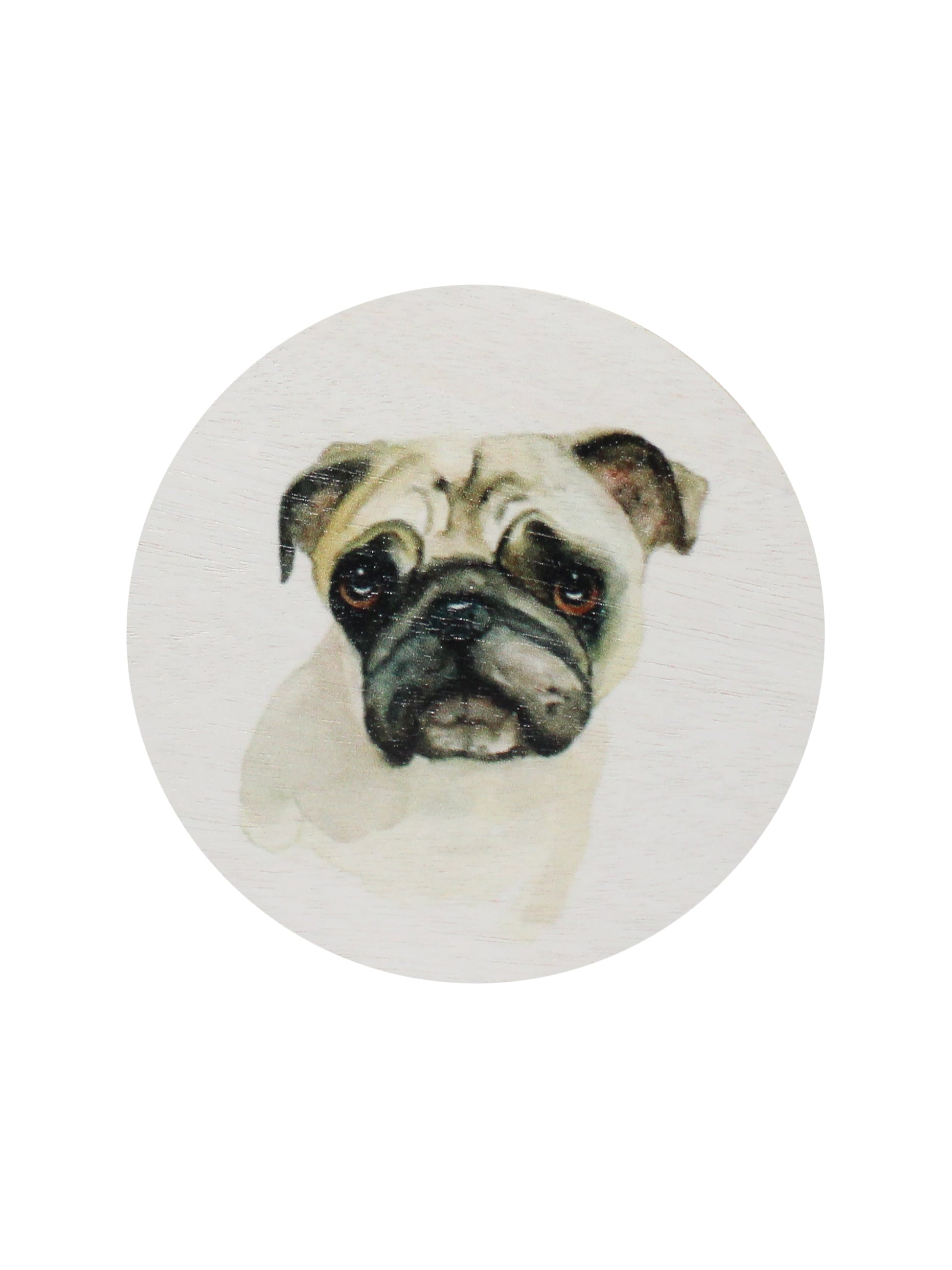 Sand + Paws Sun-n-Fun 12 oz scented candle