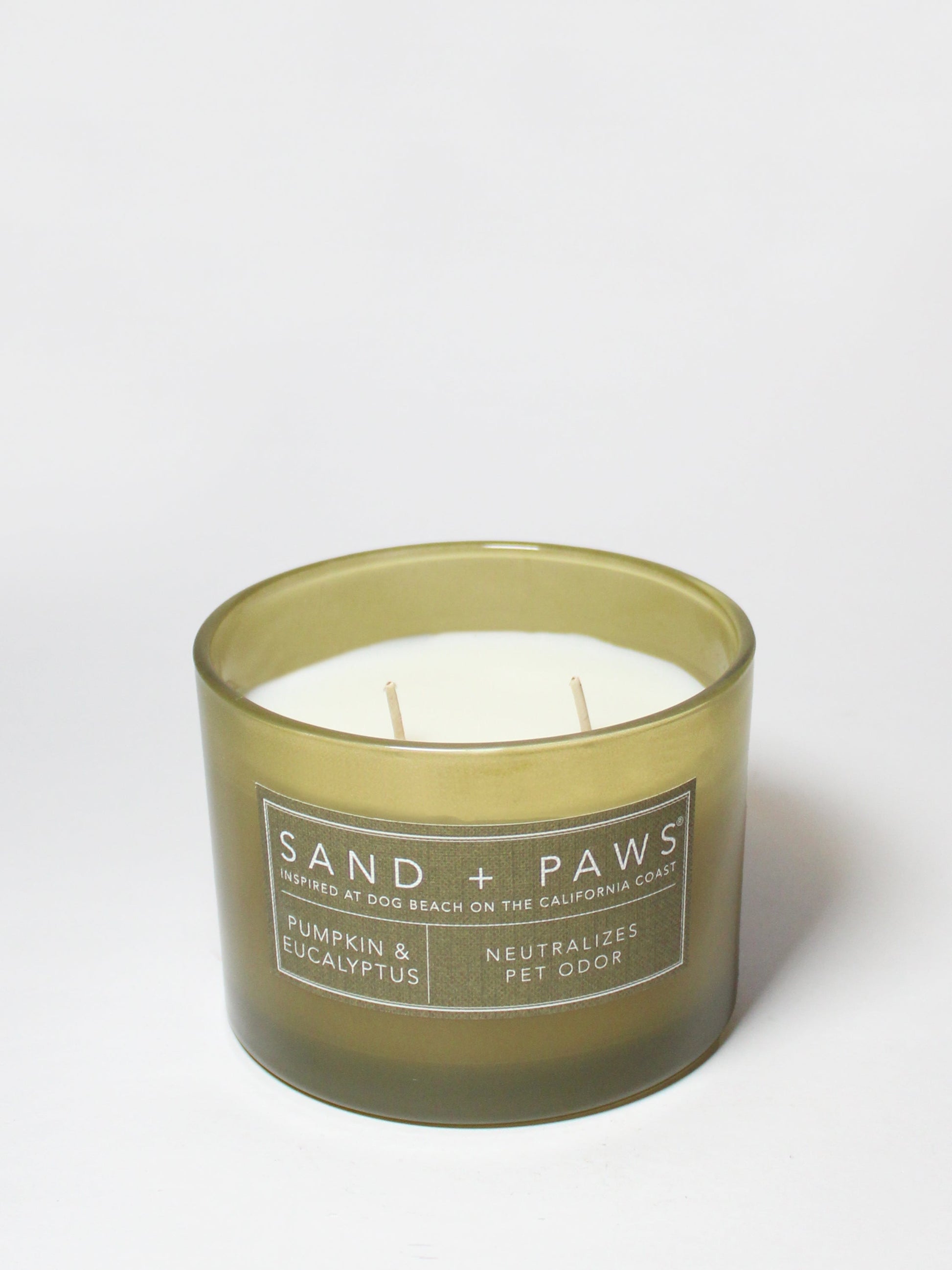 Sand + Paws Pumpkin & Eucalyptus 12 oz scented candle