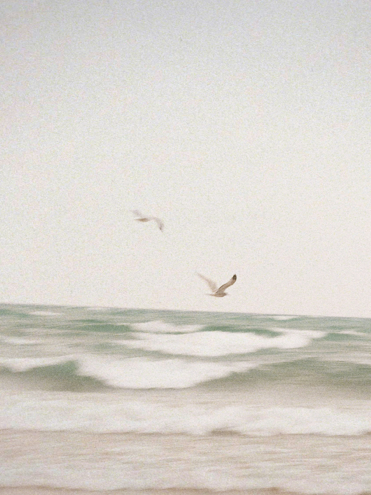 Clean Waves 10 oz scented candle