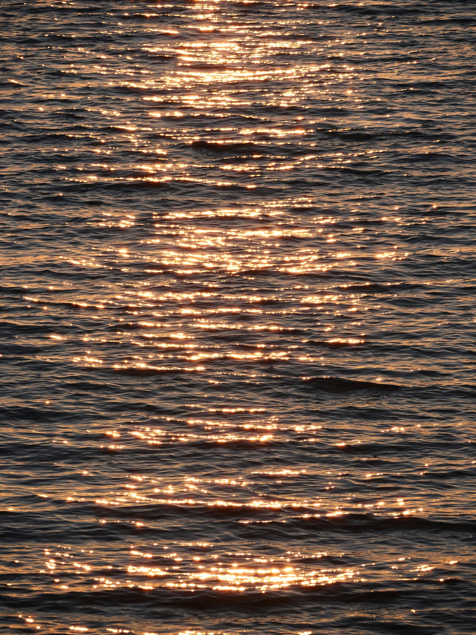 Golden Glow 50ml Perfume Oil Dropper